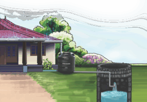Well Recharging System – Saving Precious Drops of Rain for Today, and Tomorrow